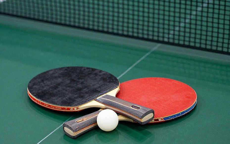 Belgium Open 2026: Bản đồ khoảng trống giữa hai trận đấu của Matilde Pinto