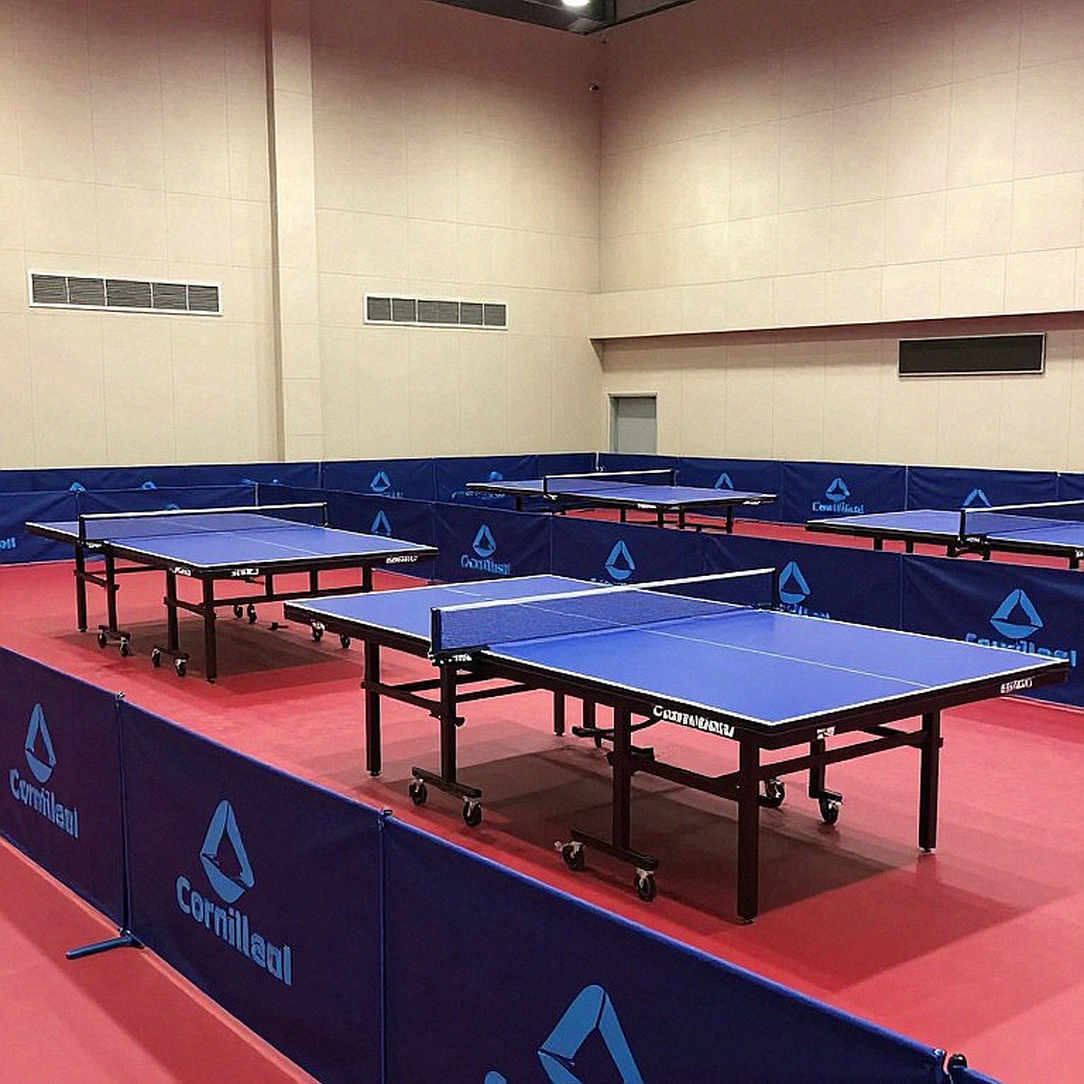 Thể thao Việt Nam và bài học từ một quy trình phân tích dữ liệu bị đứt gãy
